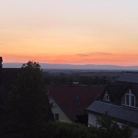 Ferienwohnung Vogesenblick Mullheim  Eksteriør bilde