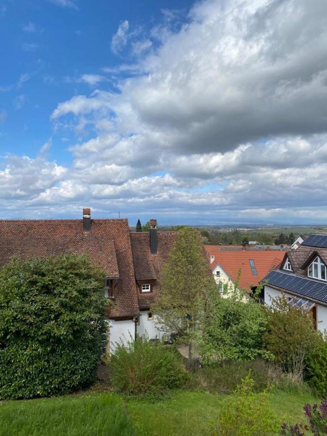 Ferienwohnung Vogesenblick Mullheim  Eksteriør bilde