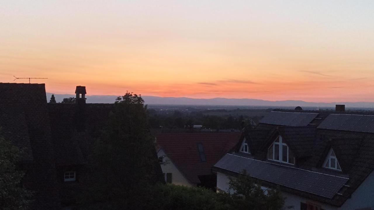 Ferienwohnung Vogesenblick Mullheim  Eksteriør bilde